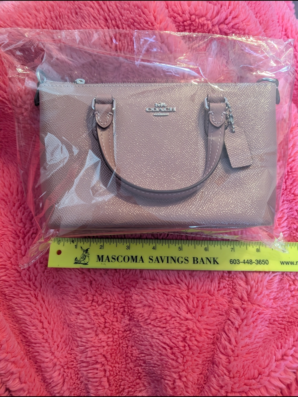 Coach Blush Pink Pebbled Leather Mini Satchel